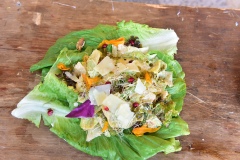 Talent_-Competition_2025-DSC_1862