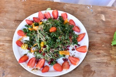 Talent_-Competition_2025-DSC_1863